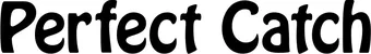 Produktbeispiel Schriftzug - Perfect Catch