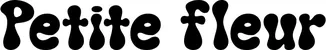 Produktbeispiel Schriftzug - Petite fleur