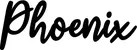 Produktbeispiel Schriftzug - Phoenix