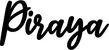 Produktbeispiel Schriftzug - Piraya