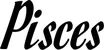 Produktbeispiel Schriftzug - Pisces