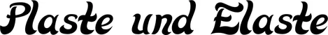 Produktbeispiel Schriftzug - Plaste und Elaste