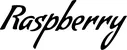 Produktbeispiel Schriftzug - Raspberry