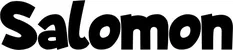 Produktbeispiel Schriftzug - Salomon