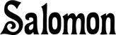 Produktbeispiel Schriftzug - Salomon