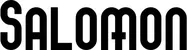 Produktbeispiel Schriftzug - Salomon