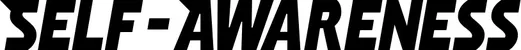 Produktbeispiel Schriftzug - Self-Awareness