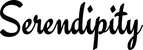 Produktbeispiel Schriftzug - Serendipity