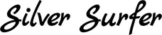 Produktbeispiel Schriftzug - Silver Surfer