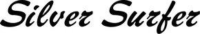 Produktbeispiel Schriftzug - Silver Surfer