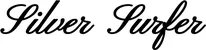 Produktbeispiel Schriftzug - Silver Surfer