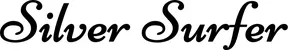 Produktbeispiel Schriftzug - Silver Surfer