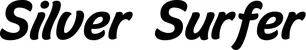 Produktbeispiel Schriftzug - Silver Surfer