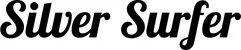 Produktbeispiel Schriftzug - Silver Surfer