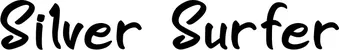 Produktbeispiel Schriftzug - Silver Surfer