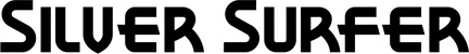 Produktbeispiel Schriftzug - Silver Surfer