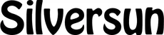 Produktbeispiel Schriftzug - Silversun