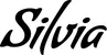 Produktbeispiel Schriftzug - Silvia
