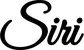 Produktbeispiel Schriftzug - Siri