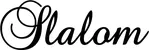 Produktbeispiel Schriftzug - Slalom
