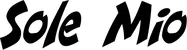 Produktbeispiel Schriftzug - Sole Mio