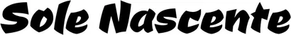 Produktbeispiel Schriftzug - Sole Nascente
