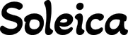 Produktbeispiel Schriftzug - Soleica