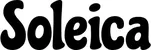 Produktbeispiel Schriftzug - Soleica