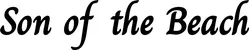 Produktbeispiel Schriftzug - Son of the Beach