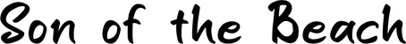Produktbeispiel Schriftzug - Son of the Beach
