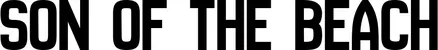 Produktbeispiel Schriftzug - Son of the Beach