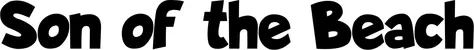 Produktbeispiel Schriftzug - Son of the Beach