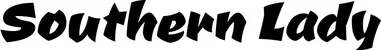 Produktbeispiel Schriftzug - Southern Lady