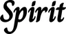 Produktbeispiel Schriftzug - Spirit