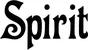Produktbeispiel Schriftzug - Spirit