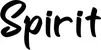 Produktbeispiel Schriftzug - Spirit