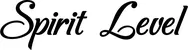 Produktbeispiel Schriftzug - Spirit Level