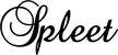 Produktbeispiel Schriftzug - Spleet