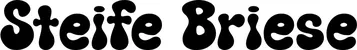 Produktbeispiel Schriftzug - Steife Briese