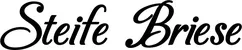 Produktbeispiel Schriftzug - Steife Briese