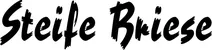 Produktbeispiel Schriftzug - Steife Briese