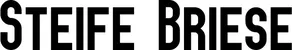 Produktbeispiel Schriftzug - Steife Briese