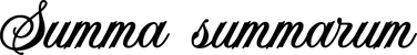 Produktbeispiel Schriftzug - Summa summarum
