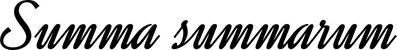 Produktbeispiel Schriftzug - Summa summarum