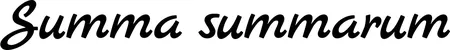 Produktbeispiel Schriftzug - Summa summarum