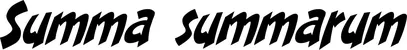 Produktbeispiel Schriftzug - Summa summarum