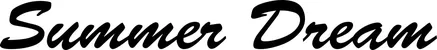 Produktbeispiel Schriftzug - Summer Dream