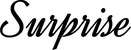 Produktbeispiel Schriftzug - Surprise