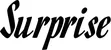 Produktbeispiel Schriftzug - Surprise