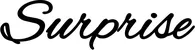 Produktbeispiel Schriftzug - Surprise